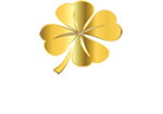 L'OPPORTUNITE IMMOBILIERE